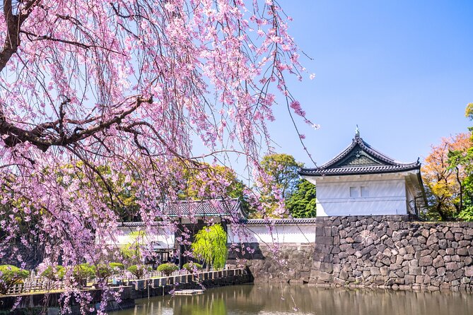 Tokyo Private Tour! Edo Castle & Imperial Palace East Gardens - Imperial Palace views without entering the Inner Palace