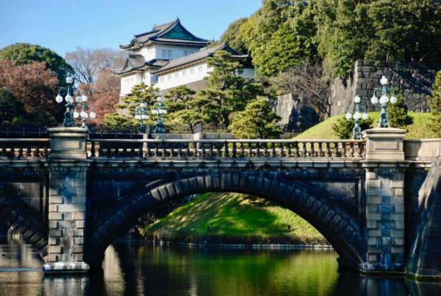 Tokyo Private Tour with English Pro Guide By Luxary Vehivle - Tsukiji Fish Market and the food portion of the day