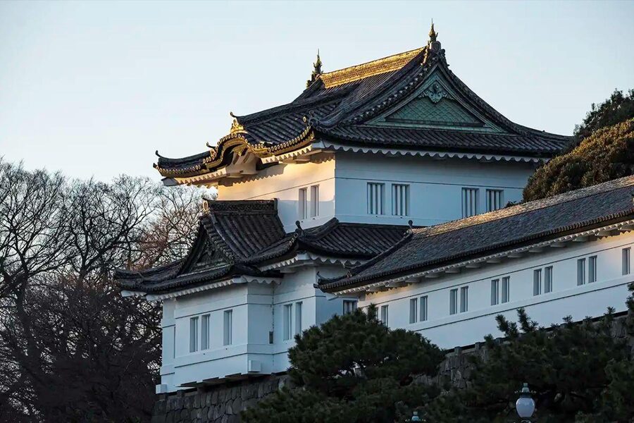 Tokyo Private Tour with English Pro Guide By Luxary Vehivle - The Imperial Palace: a short central Tokyo pause