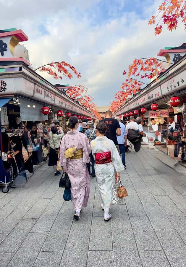 Tokyo Private Tour with English Pro Guide By Luxary Vehivle - Takeshita Street and the youth culture of Harajuku
