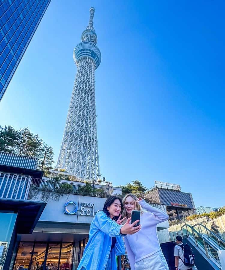 Tokyo Private Tour with English Pro Guide By Luxary Vehivle - Shibuya Crossing: Tokyo in motion