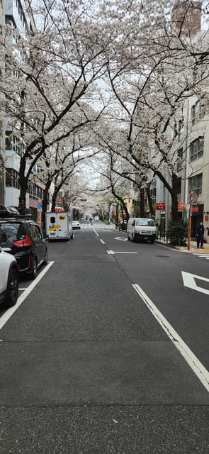 Tokyo Private Tour With English Speaking Driver - One Car, Seven Tokyo Stops