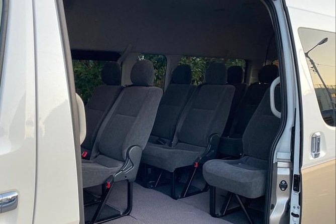 Tokyo private transfer to Narita Airport (NRT) - Hotel, Airbnb, Disney, and Cruise-Port Pickup