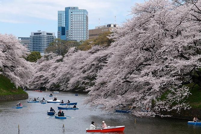 Tokyo Private Walking Tour with a Local - A private start at Tokyo Tower