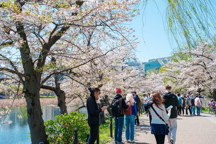 Tokyo: Private Walking Tour with a Local Guide - Ginza and the Imperial Palace: polished city and national history