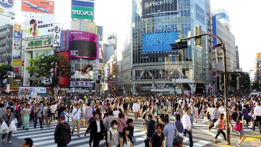 Tokyo Private Welcome Tour with a Local - Key points to know before booking