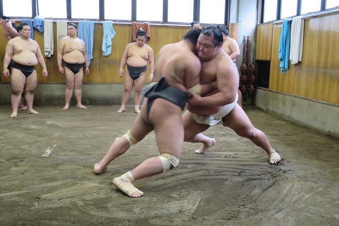 Tokyo Ryogoku Sumo Morning Practice + Photo Shoot with Wrestlers - Why Morning Practice Is More Revealing Than a Tournament