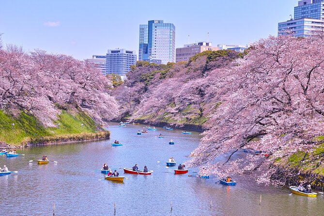 Tokyo Self-Guided Audio Tour - What the $9 audio tour really gives you
