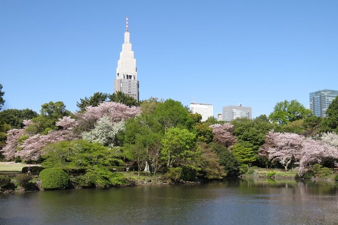 Tokyo Self-Guided Audio Tour - Gardens, government, and Shinjuku views