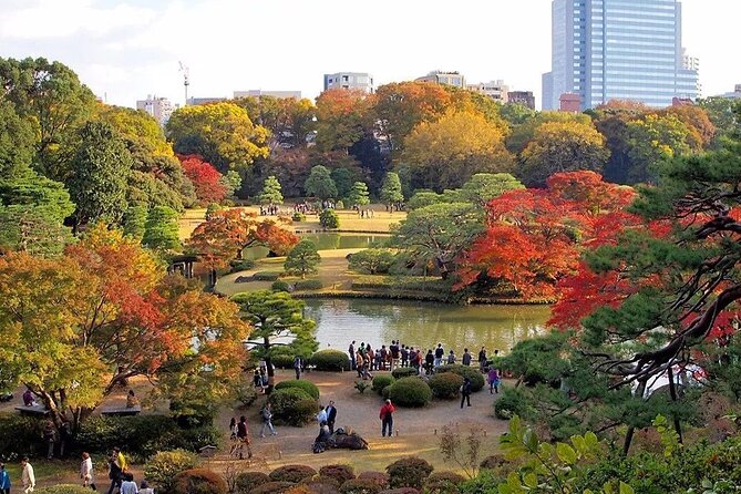 Tokyo Self-Guided Audio Tour - Shibuya and Tokyo’s contemporary art scene