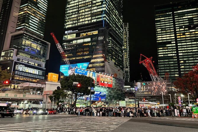 Tokyo: Shibuya Highlights Walking Tour & Secret View Spot - Meeting Hachiko Beside Shibuya Station