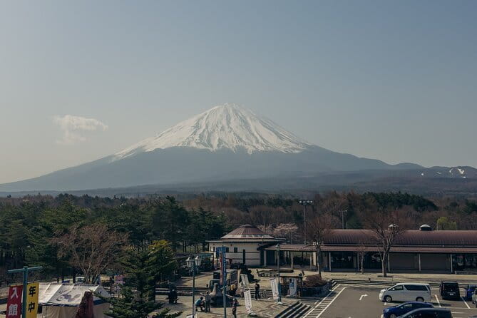 Tokyo: Shinjuku Historical Walking Tour & Secret Backstreets - What the guide adds to the experience