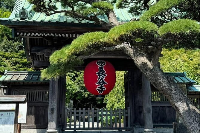 Tokyo Small Group: Enoshima & Kamakura, Hotel Pickup Option - Shichirigahama Beach and Sagami Bay
