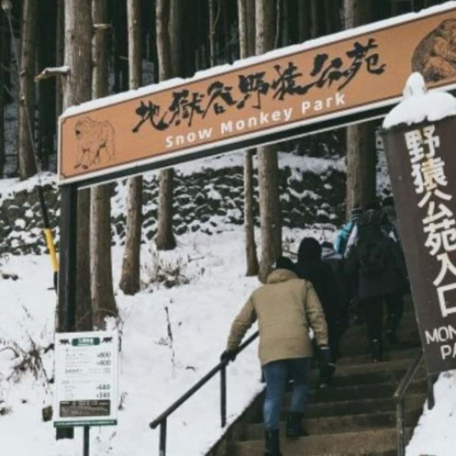 Tokyo: Snow Monkey Park and Zenkoji Temple Private Day Tour - Key points to know before booking