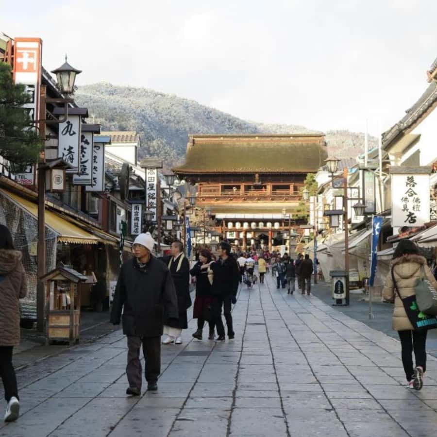 Tokyo: Snow Monkey Park and Zenkoji Temple Private Day Tour - Should you book the Snow Monkey and Zenkoji day?