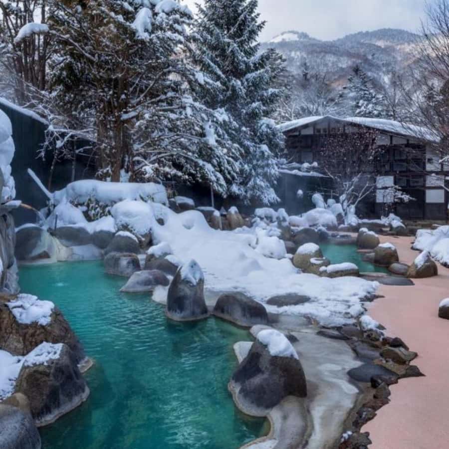 Tokyo: Snow Monkey Park and Zenkoji Temple Private Day Tour - What the $464 group price buys you
