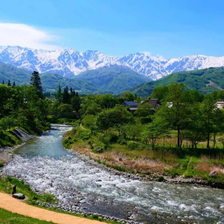 Tokyo: Snow Monkey Park and Zenkoji Temple Private Day Tour - Who will enjoy this day most?