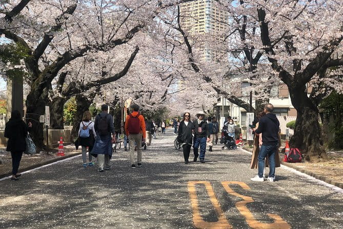 Tokyo Spring Daytime (Cherry Blossom) Food Tour - Starting at Coffee Room Renoir Nippori Yanaka
