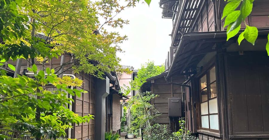 Tokyo:Stroll in Old traditional culture towns~Yanaka & Nezu - Nezu Shrine and its red Torii pathway