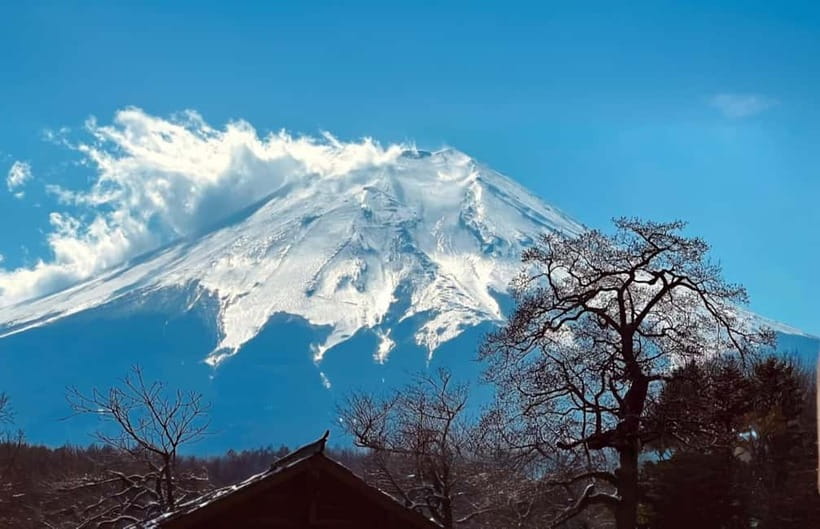 Tokyo Summer: Mt Fuji 5th Station& Kawaguchiko Lavender Trip - Who gets the best value from the $61 price