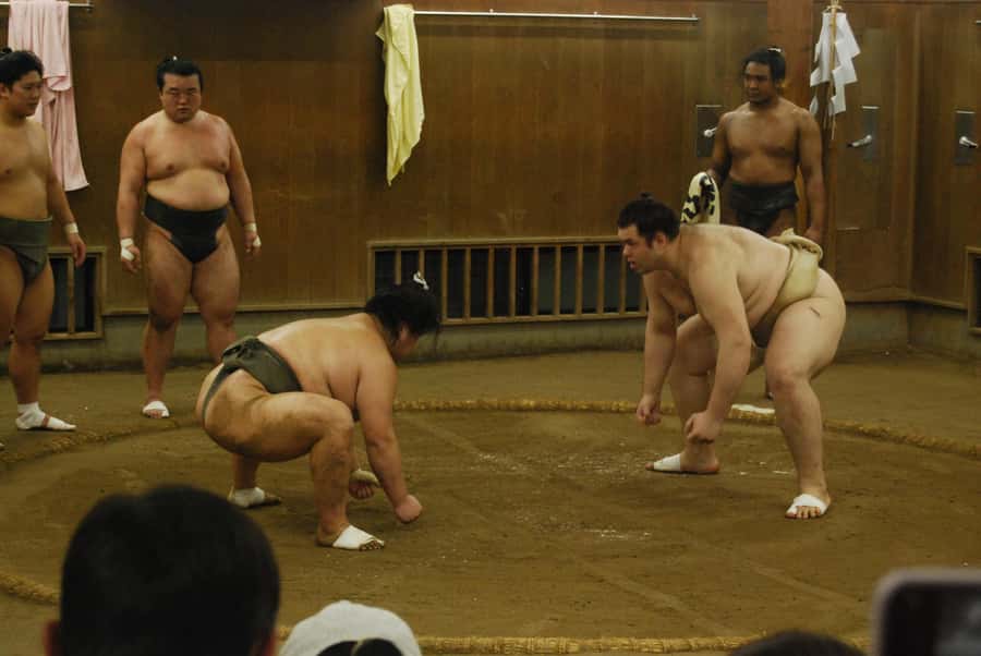 Tokyo: Sumo Morning Practice -Stable Visit Tour with a Guide - Should You Book the Ikazuchi Stable Visit?