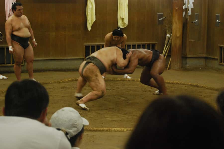 Tokyo: Sumo Morning Practice -Stable Visit Tour with a Guide - The Photo Opportunity After Practice