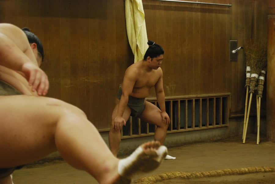 Tokyo: Sumo Morning Practice -Stable Visit Tour with a Guide - Stable Etiquette You Need to Take Seriously
