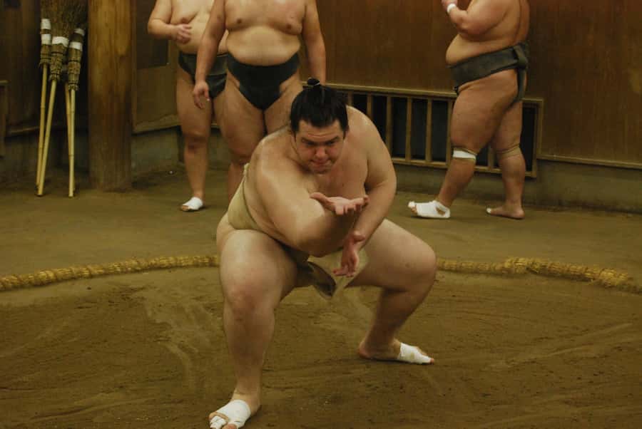 Tokyo: Sumo Morning Practice -Stable Visit Tour with a Guide - Is $90 a Fair Price?