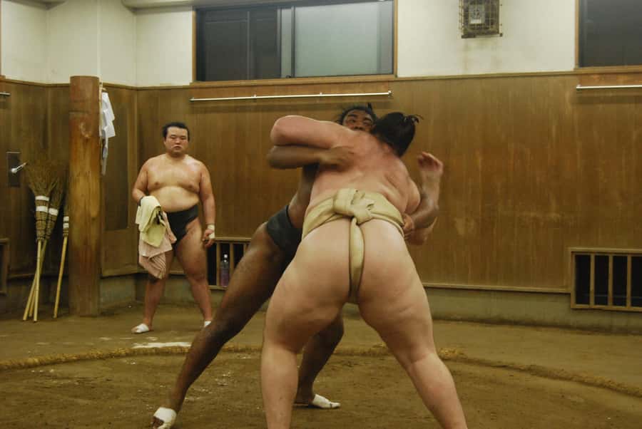 Tokyo: Sumo Morning Practice -Stable Visit Tour with a Guide - Who Should Book This Morning Experience?
