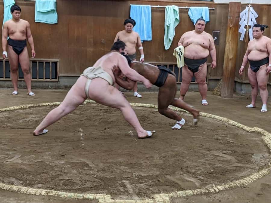 Tokyo: Sumo Morning Practice -Stable Visit Tour with a Guide - What You See During Morning Practice