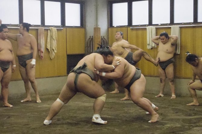 Tokyo Sumo Morning Practice Tour at Stable - Why morning practice beats a polished sumo show