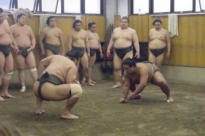 Tokyo Sumo Morning Practice Tour at Stable - What the 90-minute practice actually shows you