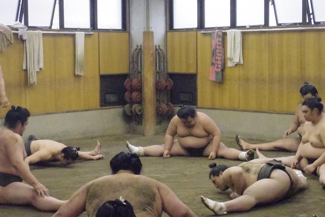 Tokyo Sumo Morning Practice Tour at Stable - Seating, photos, and the close-up view