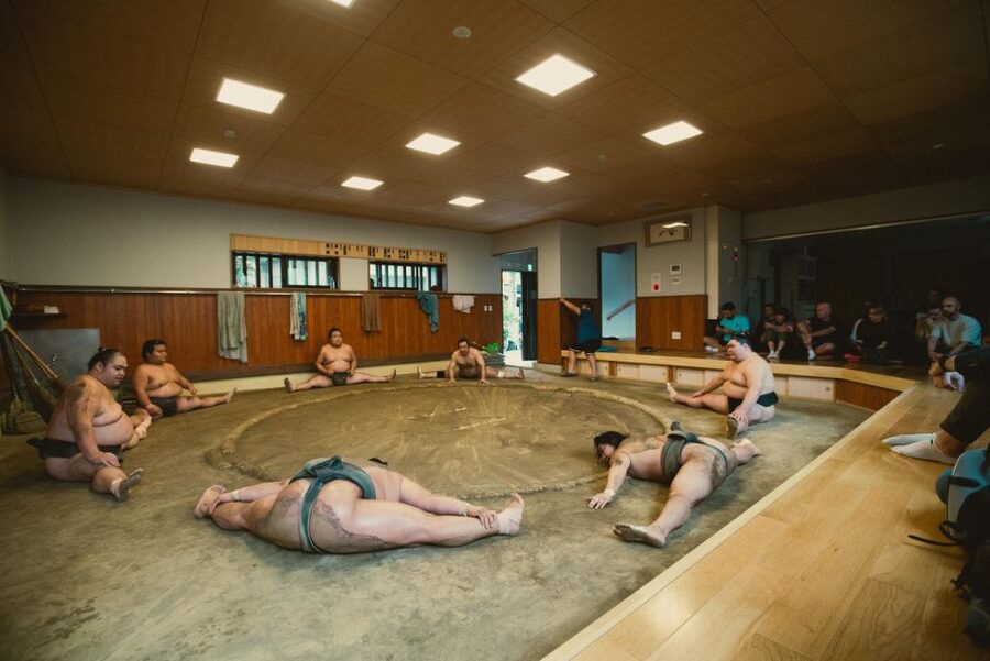 Tokyo: Sumo Morning Practice Tour at Sumida City - Who should book this morning in Sumida