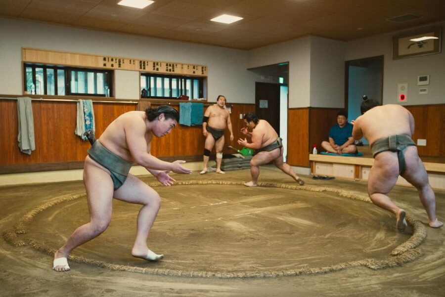 Tokyo: Sumo Morning Practice Tour at Sumida City - Seating, sightlines, and the comfort question