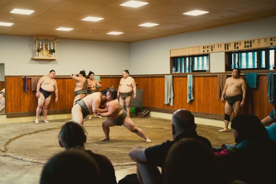 Tokyo: Sumo Morning Practice Tour at Sumida City - Questions with the stable master after practice