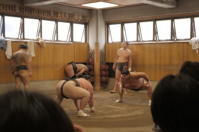Tokyo Sumo Morning Practice Tour w/ Ring-Side Seat + Photo Shoot - Why a morning practice can be better than a tournament