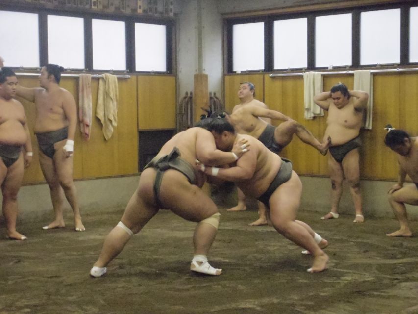 Tokyo: Sumo Morning Practice Viewing Tour - Why a sumo stable is more revealing than a tournament seat