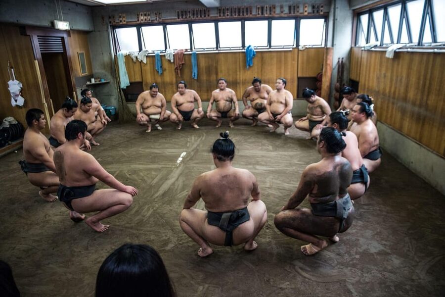 Tokyo: Sumo Morning Practice Viewing Tour - Watching 60 to 90 minutes of morning practice