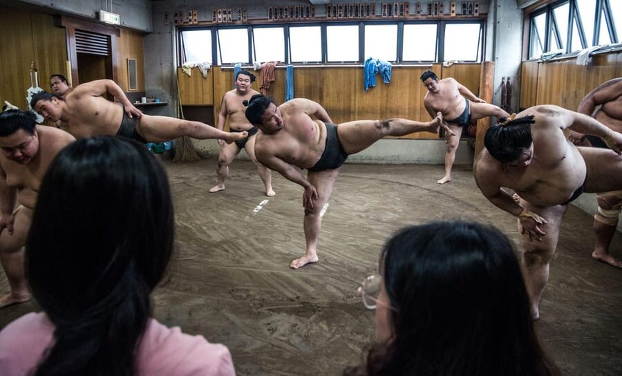 Tokyo: Sumo Morning Practice Viewing Tour - Meeting wrestlers and taking photographs