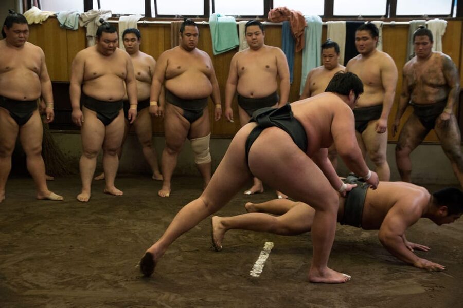 Tokyo: Sumo Morning Practice Viewing Tour - Who should book, and who should skip it