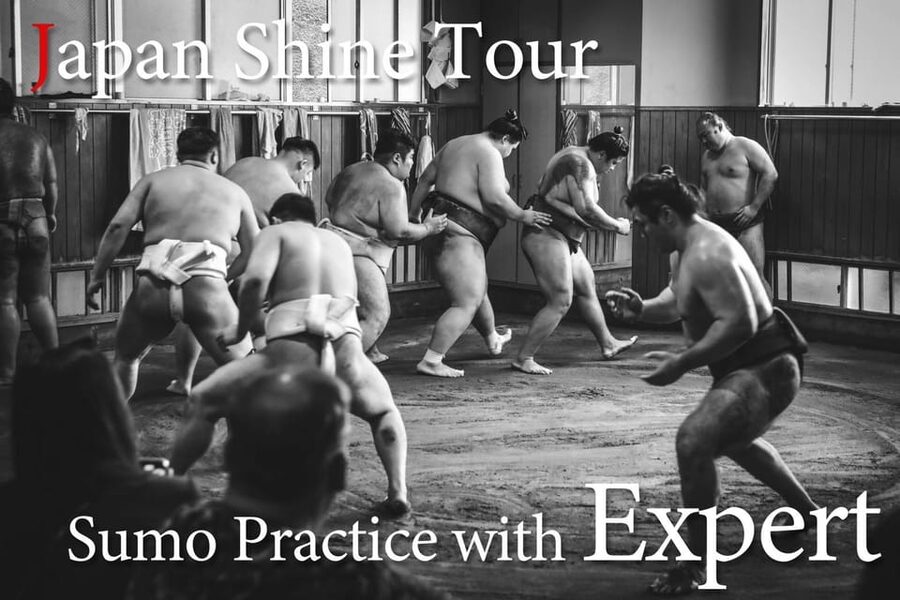 Tokyo: Sumo Morning Practice with journalists. Not fake show - Key points at a glance