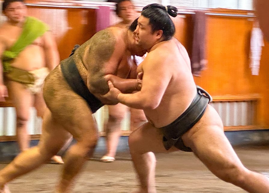 Tokyo: Sumo Morning Practice with journalists. Not fake show - Meeting in Ryogoku before the stable visit