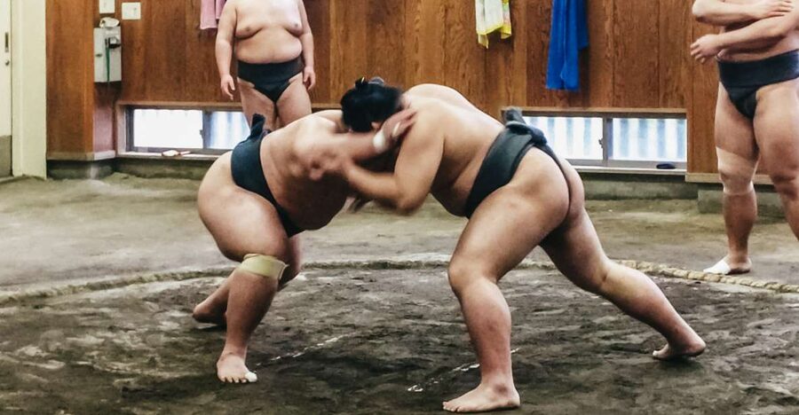 Tokyo: Sumo Morning Training Visit - Inside a Working Tokyo Sumo Stable