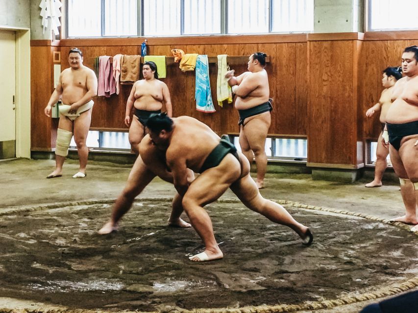Tokyo: Sumo Morning Training Visit - The Training Is Impressive Because It Is Not Polished