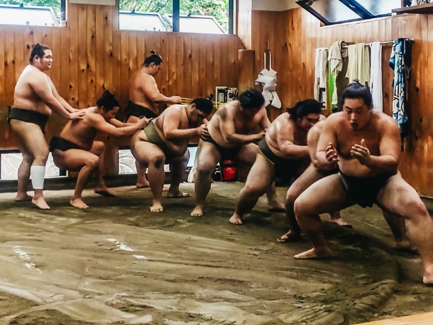 Tokyo: Sumo Morning Training Visit - Getting There Takes Careful Reading