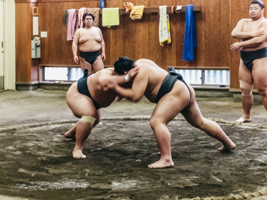 Tokyo: Sumo Morning Training Visit - The Best Seat Is Usually the First Available One