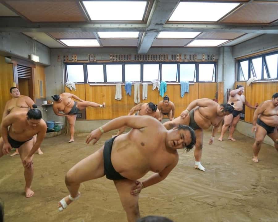 Tokyo: Sumo Practice Tour with Ring-Side Seat and Photoshoot - The photo at the end is a bonus, not a promise