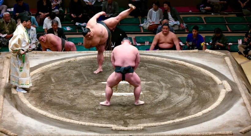 Tokyo: Sumo Tournament with Guide & Assigned Reserved Seat - The guide’s role during the bouts