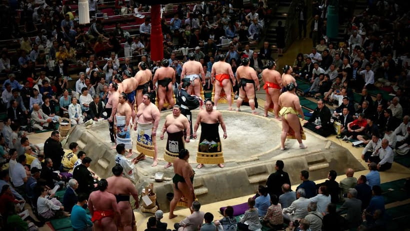 Tokyo: Sumo Tournament with Guide & Assigned Reserved Seat - Who will enjoy this most